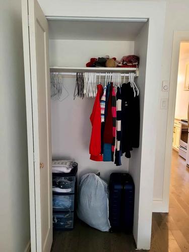 Appartement de 1 chambre à louer à Montreal - Le Plateau-Mont-Royal — photo 10