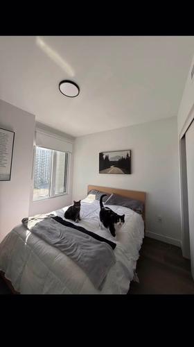 1 bedroom apartment for rent in Laval — photo 6