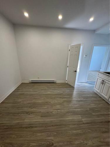 1 bedroom apartment for rent in Montreal - Le Plateau-Mont-Royal — photo 3