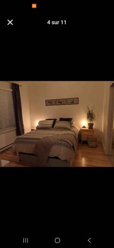 Appartement de 3 chambres à louer à Québec - La Cité-Limoilou — photo 4