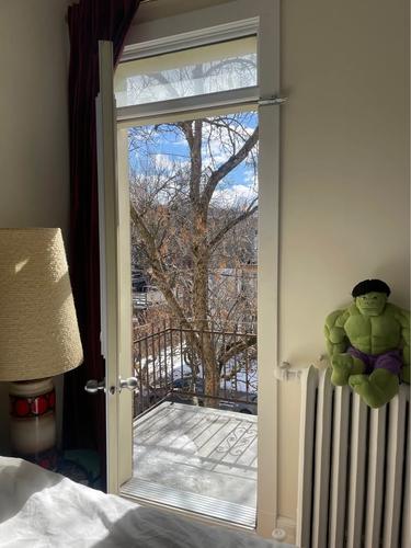 Appartement de 4 chambres à louer à Montreal - Le Plateau-Mont-Royal — photo 3
