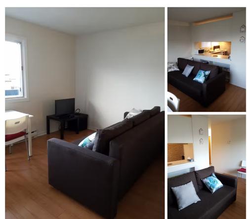 1 bedroom apartment for rent in Gatineau — photo 4