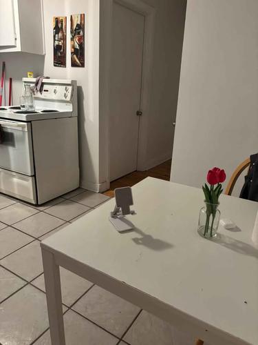 Appartement de 1 chambre à louer à Longueuil — photo 4