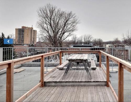 Appartement de 1 chambre à louer à Québec - La Cité-Limoilou — photo 9