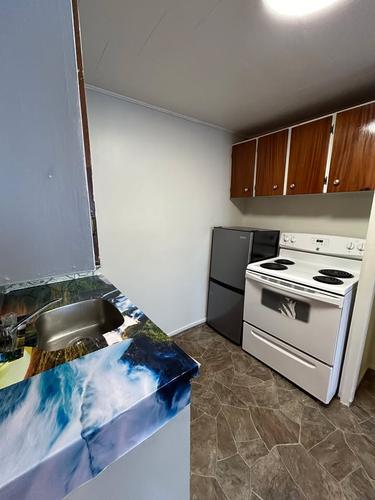 1 bedroom apartment for rent in Gatineau — photo 4