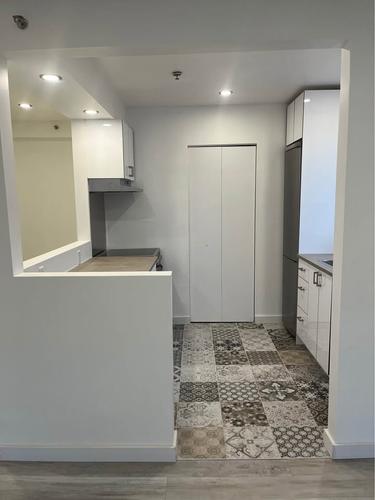 1 bedroom apartment for rent in Montreal - Le Plateau-Mont-Royal — photo 3