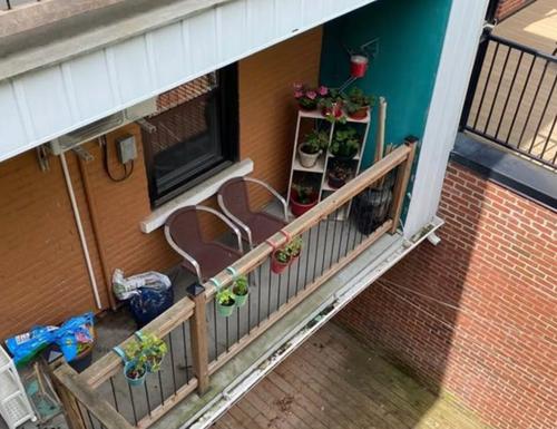 4 bedrooms apartment for rent in Montreal - Le Plateau-Mont-Royal — photo 7