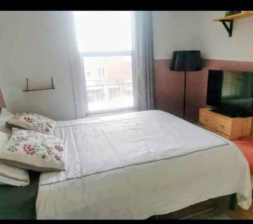 Appartement de 2 chambres à louer à Montreal - Rosemont–La Petite-Patrie — photo 8