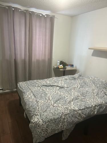Appartement de 1 chambre à louer à Québec - La Cité-Limoilou — photo 2
