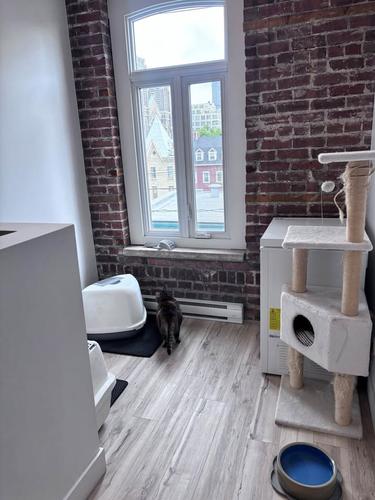 Appartement de 2 chambres à louer à Québec - La Cité-Limoilou — photo 12