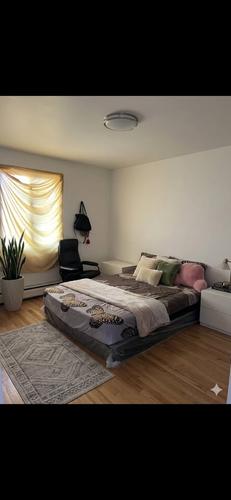 Appartement de 2 chambres à louer à Montreal - Rosemont–La Petite-Patrie — photo 6