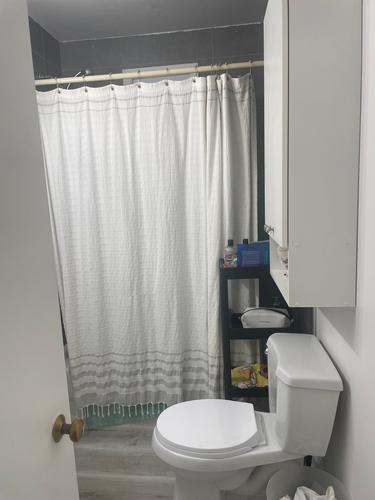 Appartement de 2 chambres à louer à Québec - La Cité-Limoilou — photo 12