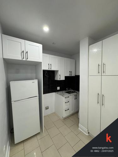 1 bedroom apartment for rent in Montreal - Le Plateau-Mont-Royal — photo 3