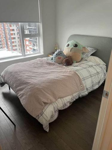 Appartement de 1 chambre à louer à Laval — photo 7