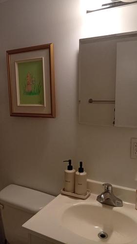 Studio for rent in Montreal - Le Plateau-Mont-Royal — photo 7