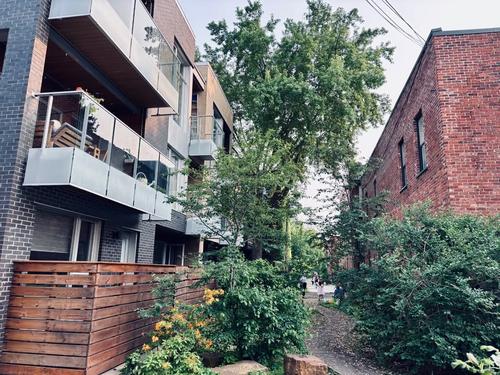 1 bedroom apartment for rent in Montreal - Le Plateau-Mont-Royal — photo 16