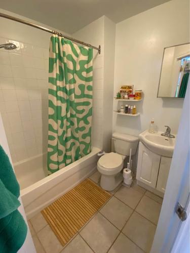 Appartement de 1 chambre à louer à Montreal - Rosemont–La Petite-Patrie — photo 13