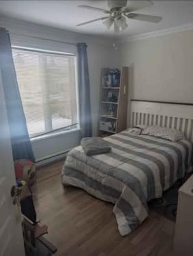 Appartement de 3 chambres à louer à Québec - Les Rivières — photo 8