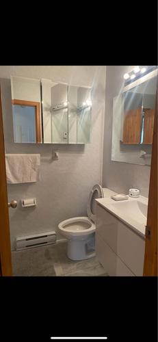 4 bedrooms apartment for rent in Montreal - Le Plateau-Mont-Royal — photo 6