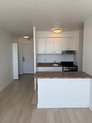 Appartement de 1 chambre à louer à Montreal - Le Plateau-Mont-Royal — photo 6