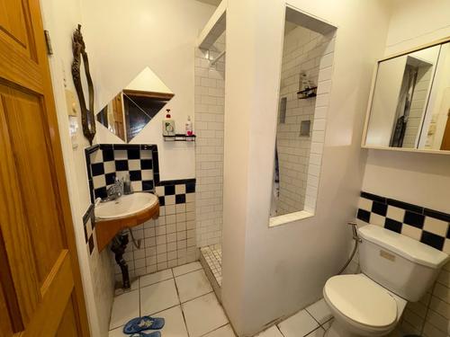 Studio à louer à Montreal - Le Plateau-Mont-Royal — photo 3