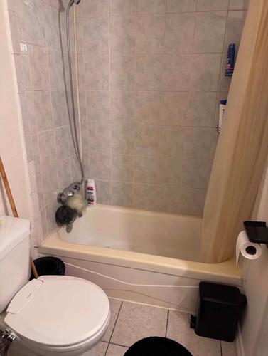 2 bedrooms apartment for rent in Longueuil — photo 28