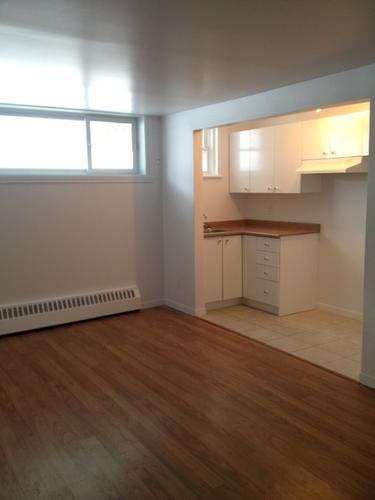 Appartement de 1 chambre à louer à Québec - La Cité-Limoilou — photo 3