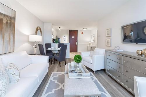 1 bedroom apartment for rent in - — photo 8