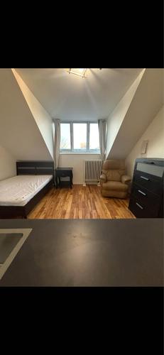Studio à louer à Québec - La Cité-Limoilou — photo 3