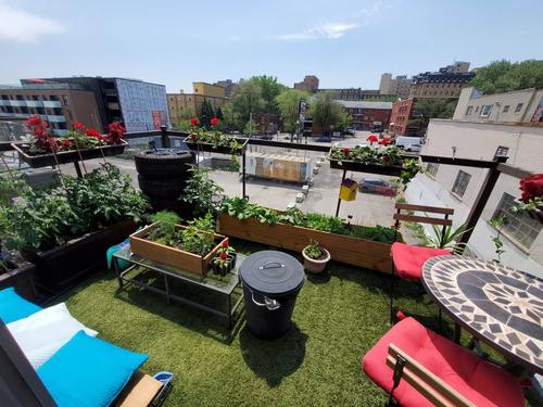 1 bedroom apartment for rent in Montreal - Ville-Marie — photo 7