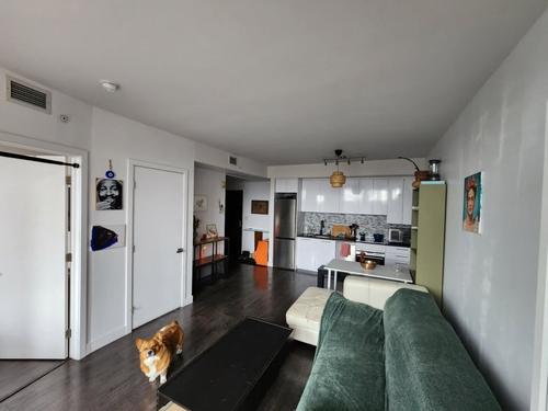 1 bedroom apartment for rent in Montreal - Ville-Marie — photo 7