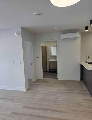 Appartement de 1 chambre à louer à Montreal - Rivière-des-Prairies–Pointe-aux-Trembles — photo 11