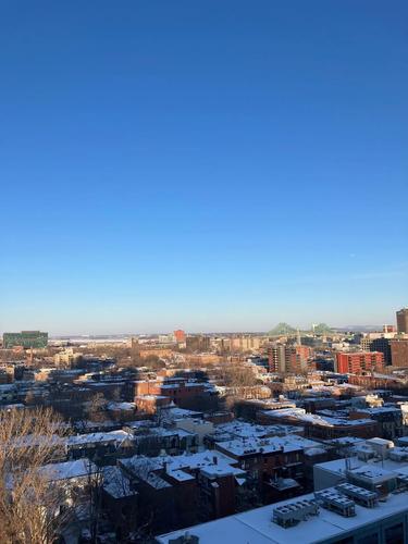 1 bedroom apartment for rent in Montreal - Ville-Marie — photo 3