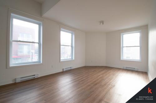 1 bedroom apartment for rent in Montreal - Rosemont–La Petite-Patrie — photo 9