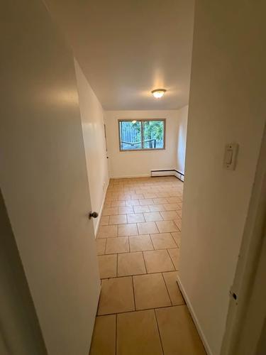 1 bedroom apartment for rent in Montreal - Rosemont–La Petite-Patrie — photo 7