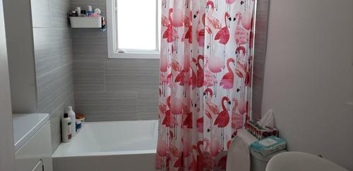 2 bedrooms apartment for rent in Lévis — photo 3
