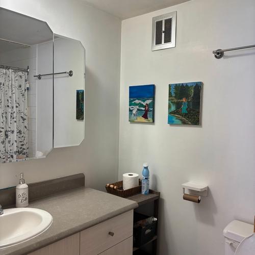 Appartement de 1 chambre à louer à Lévis — photo 5