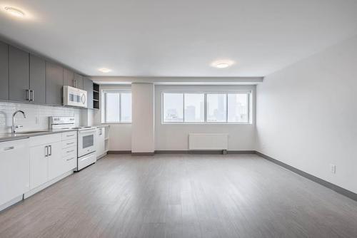 Appartement de 2 chambres à louer à Montreal - Le Plateau-Mont-Royal — photo 14