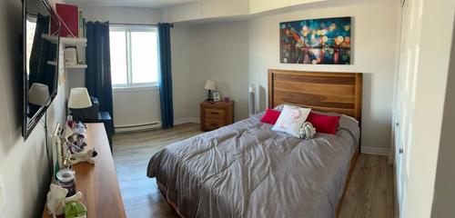 Appartement de 1 chambre à louer à Longueuil — photo 11