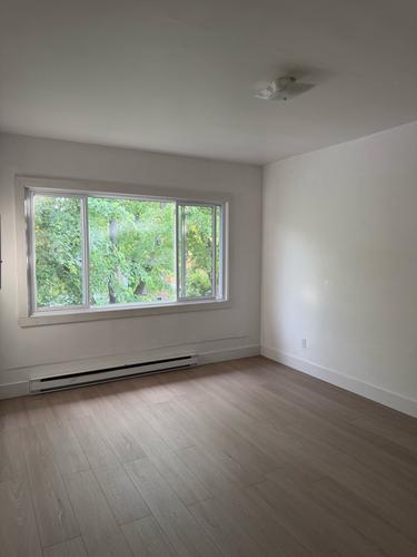 Appartement de 1 chambre à louer à Montreal - Saint-Laurent — photo 3