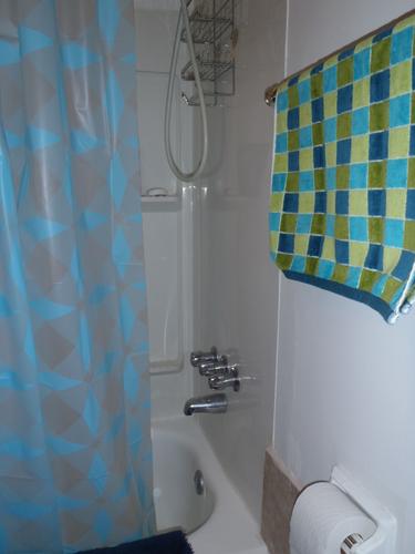 1 bedroom apartment for rent in Longueuil — photo 4
