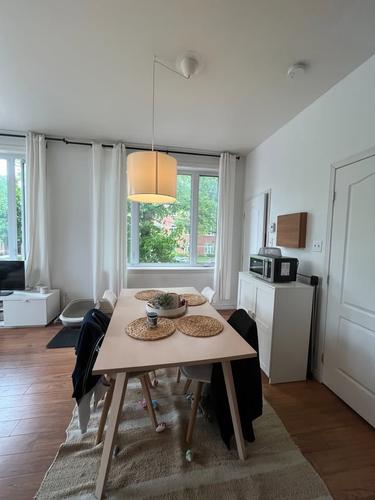 1 bedroom apartment for rent in Québec - La Cité-Limoilou — photo 3