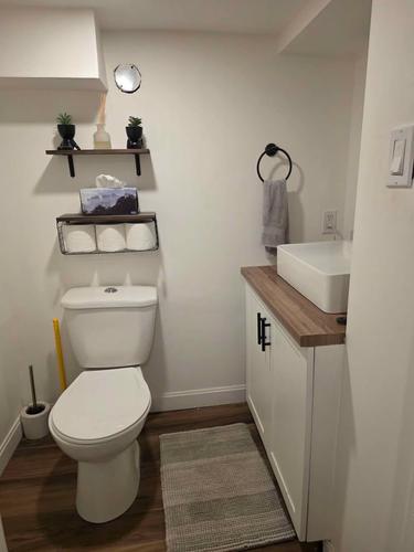 Appartement de 3 chambres à louer à Sherbrooke — photo 11