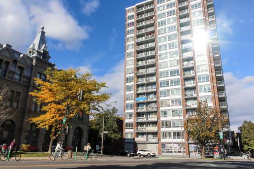 1 bedroom apartment for rent in Montreal - Le Plateau-Mont-Royal — photo 14