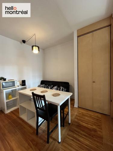 4 bedrooms apartment for rent in Montreal - Le Plateau-Mont-Royal — photo 2