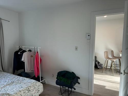 1 bedroom apartment for rent in Montreal - Rosemont–La Petite-Patrie — photo 18