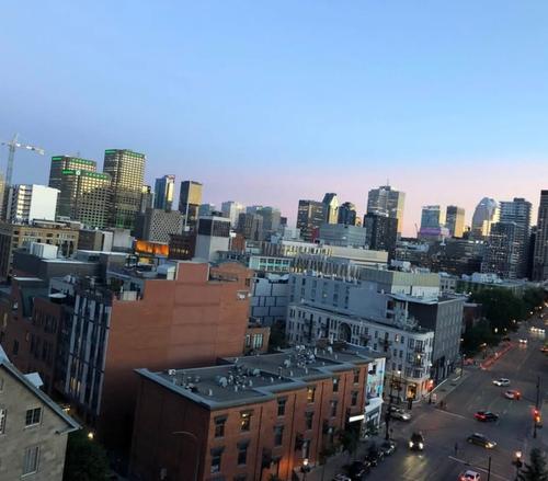 1 bedroom apartment for rent in Montreal - Le Plateau-Mont-Royal — photo 5