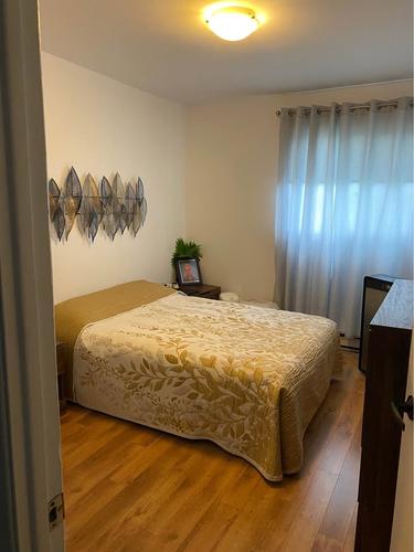 1 bedroom apartment for rent in Lévis — photo 9