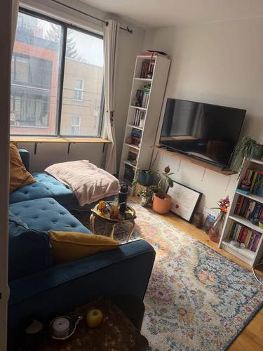 1 bedroom apartment for rent in Montreal - Ville-Marie — photo 10