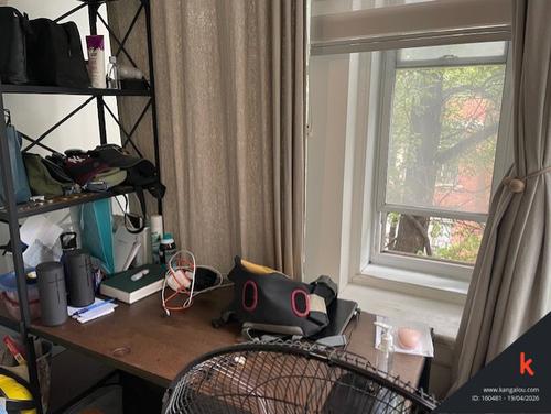 4 bedrooms apartment for rent in Montreal - Le Plateau-Mont-Royal — photo 15